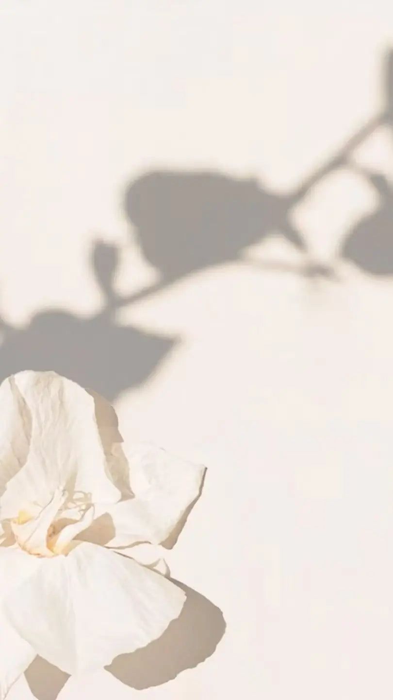 beautiful backgound photo with shadow of flower