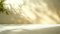 beautiful picture with elegant shadow of bamboo leaves